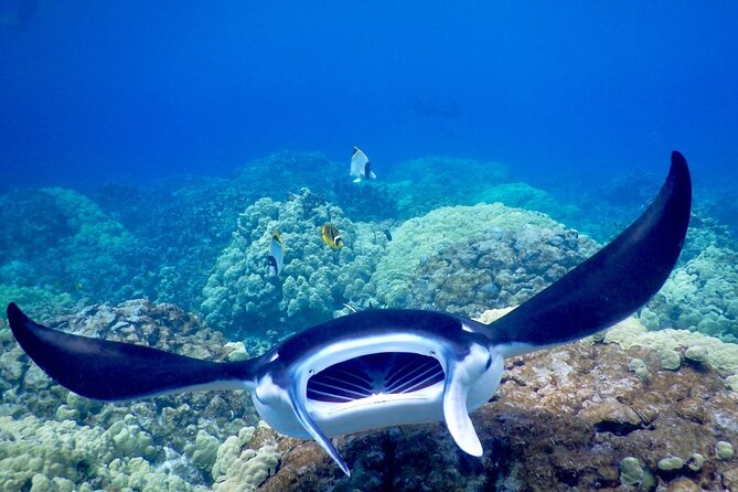 Sunset and Manta Ray Snorkel Adventure - Getting back aboard and warming up