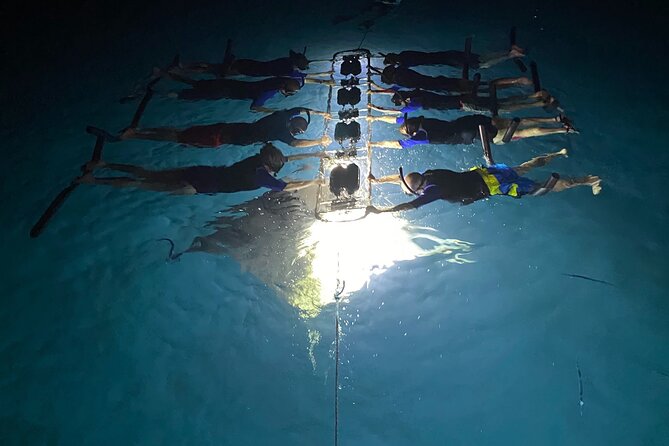 Sunset and Manta Ray Snorkel Adventure - How the crew handles safety and nerves