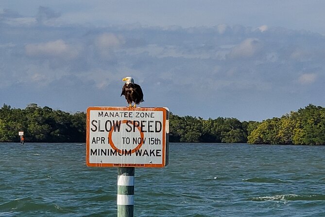 Sunset Dolphin Cruise with Sanibel Lighthouse Views - Why the sunset setting makes this cruise special