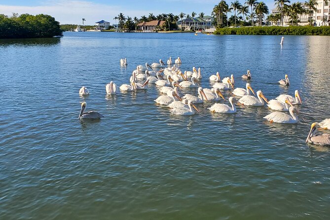 Sunset Dolphin Cruise with Sanibel Lighthouse Views - What the included drinks add to the value