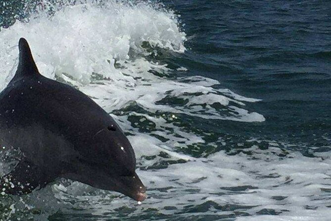 Sunset Dolphin Cruise with Sanibel Lighthouse Views - Comfort, seating, and the 90-minute pace