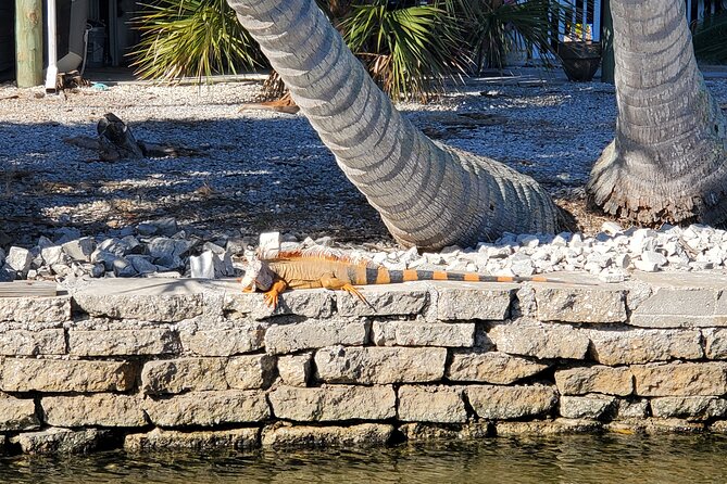 Sunset Dolphin Cruise with Sanibel Lighthouse Views - Who will enjoy this Fort Myers Beach outing