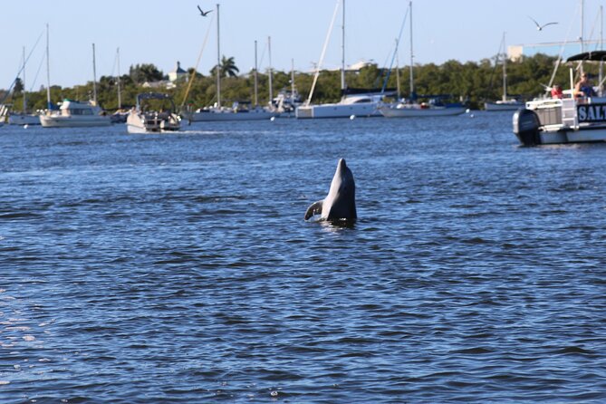 Sunset Dolphin Cruise with Sanibel Lighthouse Views - Booking details, timing, and cancellation
