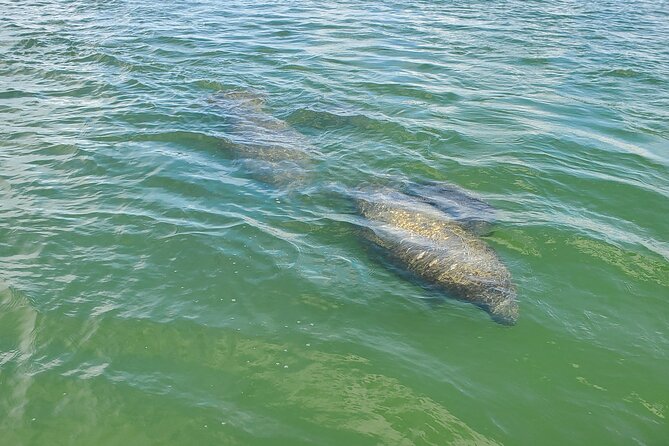 Sunset Dolphin Cruise with Sanibel Lighthouse Views - The route from the shrimp boat fleet to Bowditch Point