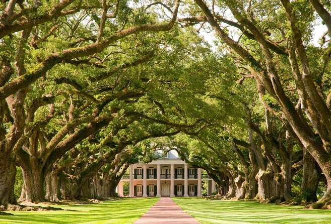 Swamp Boat Ride and Oak Alley Plantation Tour from New Orleans - Cajun Pride Swamp Tours and Manchac Swamp