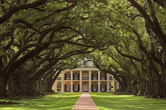 Swamp Boat Ride and Oak Alley Plantation Tour from New Orleans - Who should book this day trip?