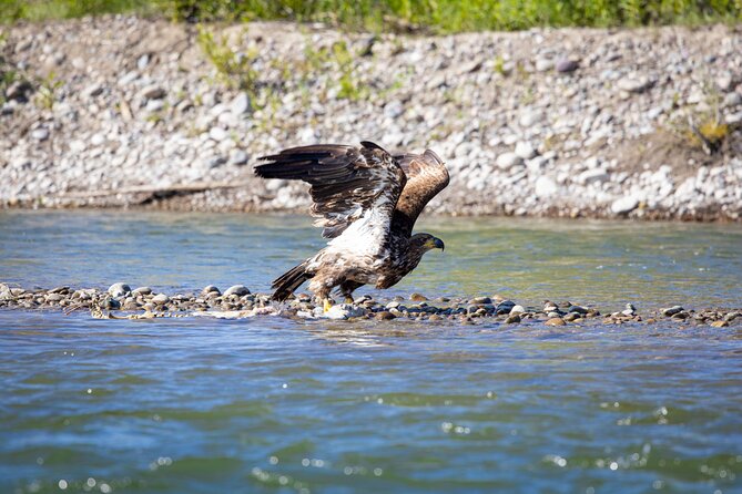 Tetons and Snake River Scenic Float Trip In Jackson Hole - Who will enjoy this float most