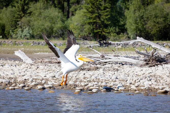 Tetons and Snake River Scenic Float Trip In Jackson Hole - Is $120 a fair price?