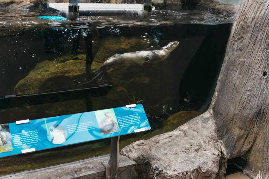 The Florida Aquarium Ticket - Make time for the three touch pools