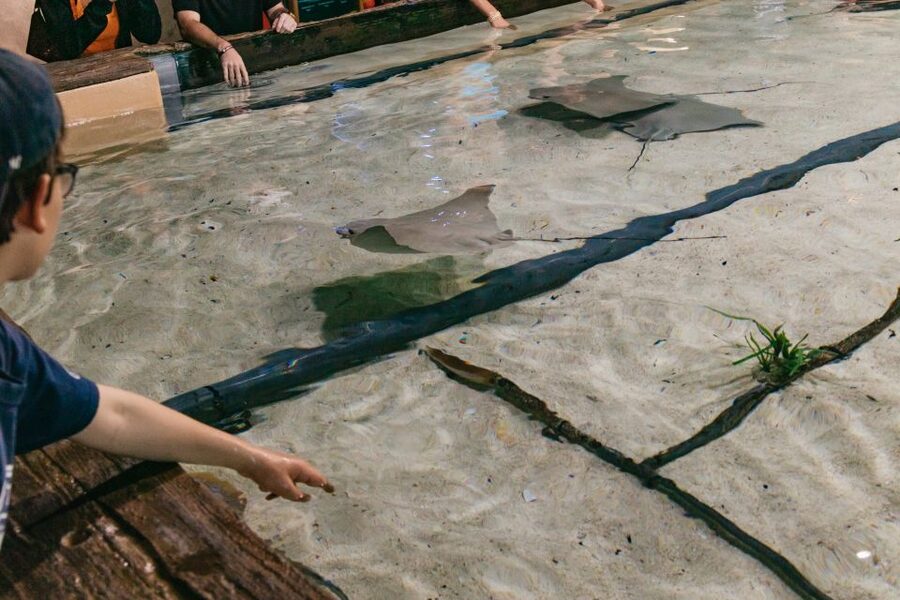 The Florida Aquarium Ticket - Look for MORPH’D and the animals built for change