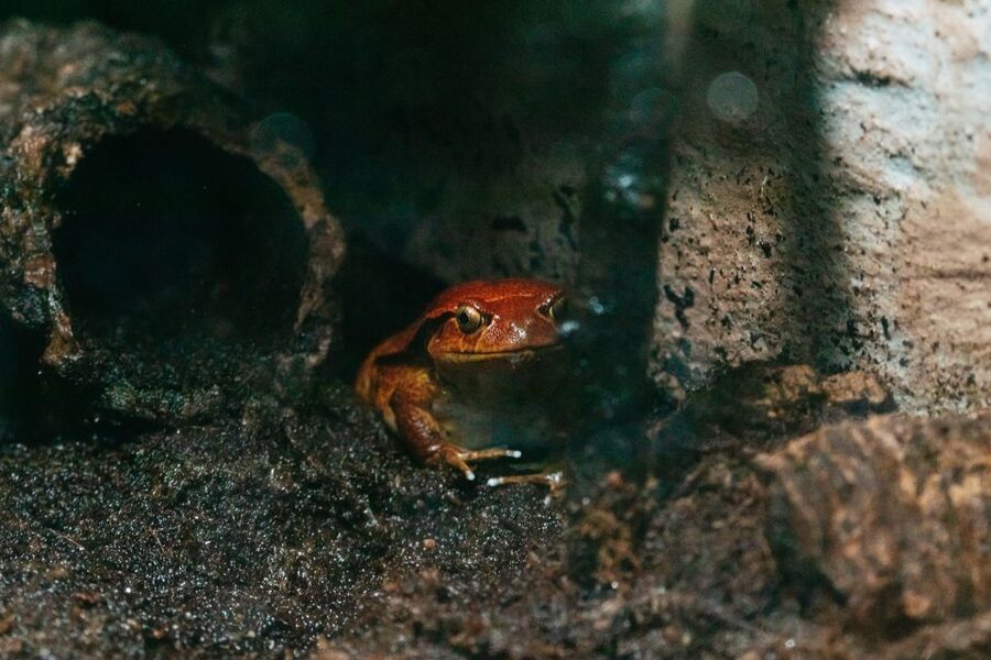 The Florida Aquarium Ticket - Allow enough time for a calm visit