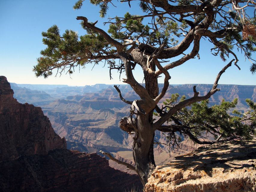 The Grand Canyon Classic Tour From Sedona, AZ - Little Colorado River Gorge and the Painted Desert