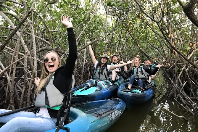 Thousand Island Mangrove Tunnel, Manatee & Dolphin Kayak Tour w/Cocoa Kayaking - Why the Thousand Islands Are Best Seen From a Kayak
