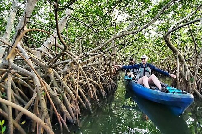 Thousand Island Mangrove Tunnel, Manatee & Dolphin Kayak Tour w/Cocoa Kayaking - Watching for Manatees and Dolphins