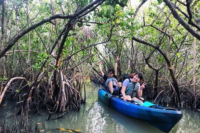 Thousand Island Mangrove Tunnel, Manatee & Dolphin Kayak Tour w/Cocoa Kayaking - What the Guides Add to the Experience