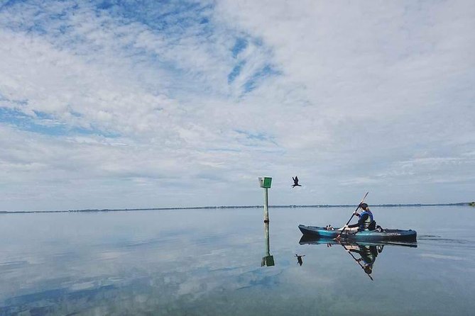 Thousand Island Mangrove Tunnel, Manatee & Dolphin Kayak Tour w/Cocoa Kayaking - Timing, Weather, and Physical Demands