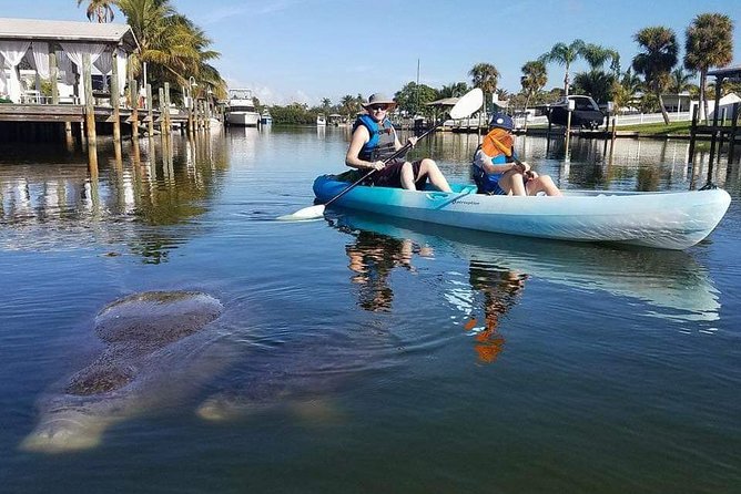 Thousand Island Mangrove Tunnel, Manatee & Dolphin Kayak Tour w/Cocoa Kayaking - Photos, Phones, and What You Receive