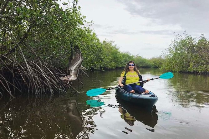 Thousand Island Mangrove Tunnel, Manatee & Dolphin Kayak Tour w/Cocoa Kayaking - Through the Mangrove Tunnels