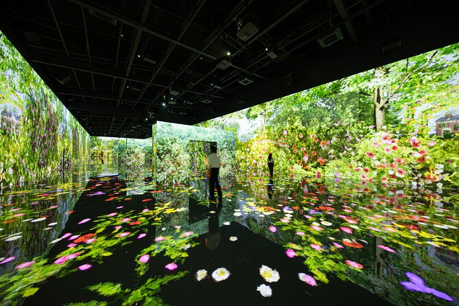 Ticket for ARTE Museum Las Vegas - French impressionists meet digital projection