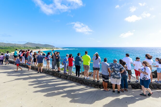 Tour of North Shore & Waimea Waterfall - Diamond Head views and the first coastal stops