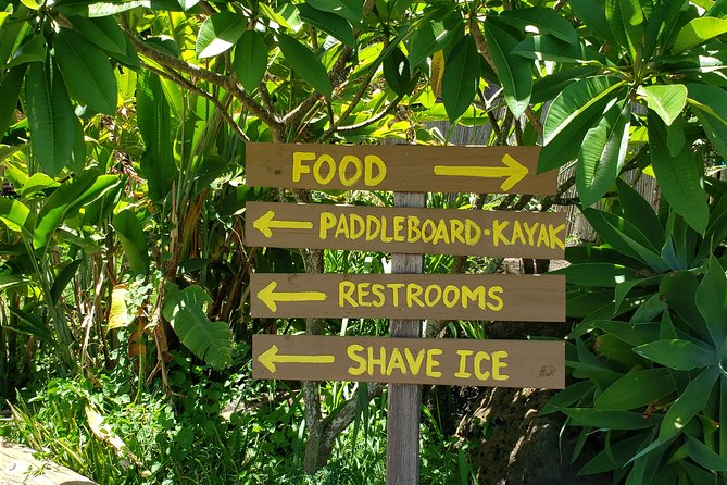 Tour of North Shore & Waimea Waterfall - Macadamia nuts and Chinaman’s Hat