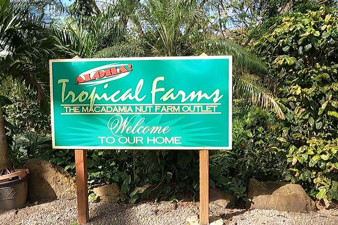 Tour of North Shore & Waimea Waterfall - Garlic shrimp and tropical fruit on the North Shore