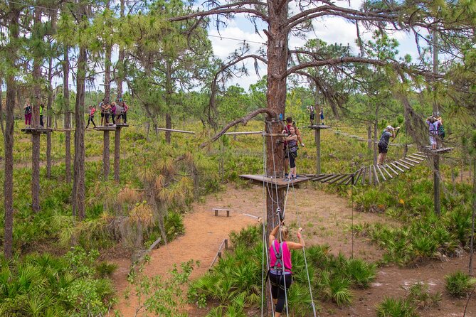 TreeUmph Adventure Course - Key Points Before You Book