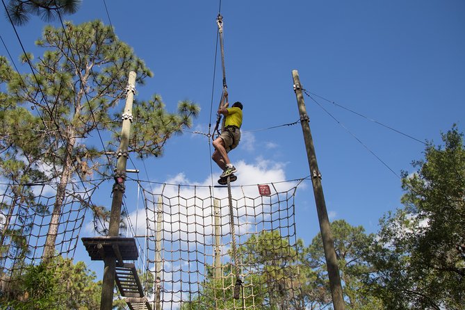 TreeUmph Adventure Course - What the Four-Hour Visit Really Involves