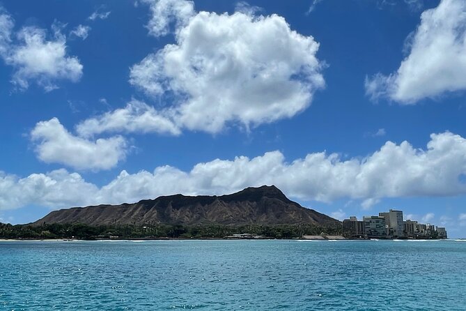 Turtle Canyon Snorkel Adventure in Waikiki, Oahu - How reliable are the turtle sightings?