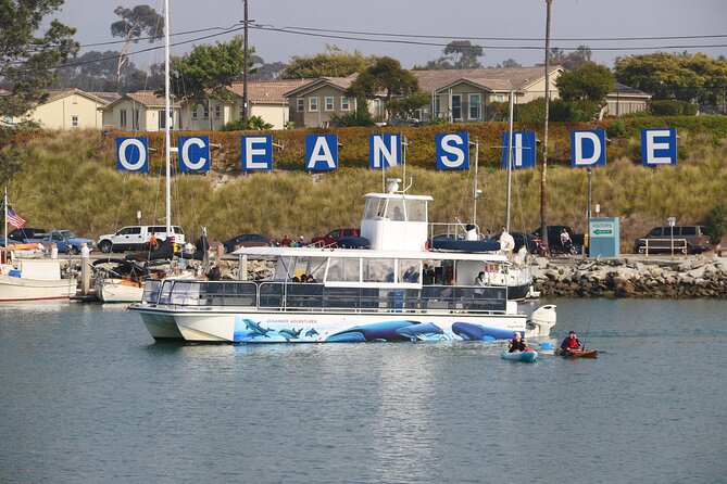 Two-Hour Luxury Whale Watching Tour from Oceanside - Timing, cancellations, and weather