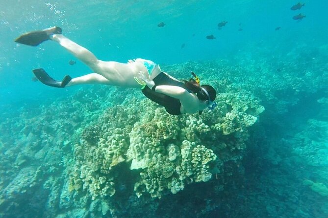 Two Reef Snorkel Trip-See Captain Cook Monument & Sea Caves - Lava tubes, sea caves, and the ride along the coast