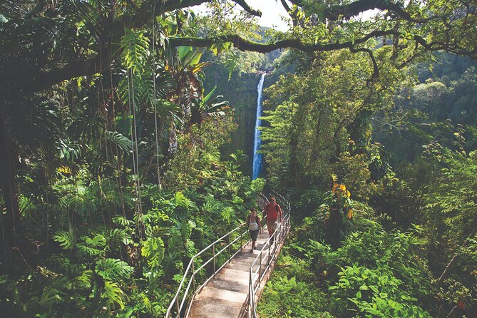 Volcano Adventure: Hilo Sightseeing w/ Optional Helicopter Tour - Entering Hawaii Volcanoes National Park