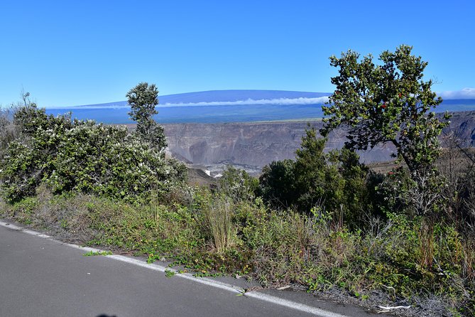 Volcano National Park Adventure From Kona - Kona coffee before the long road south