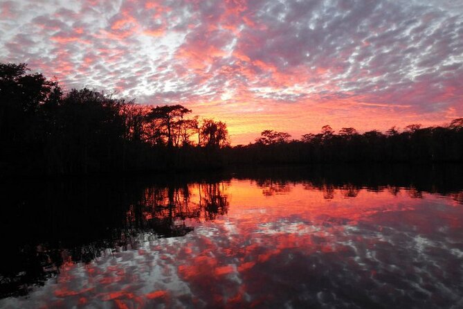 Waccamaw River Nature and Wildlife Tour - Practical tips for a better ride