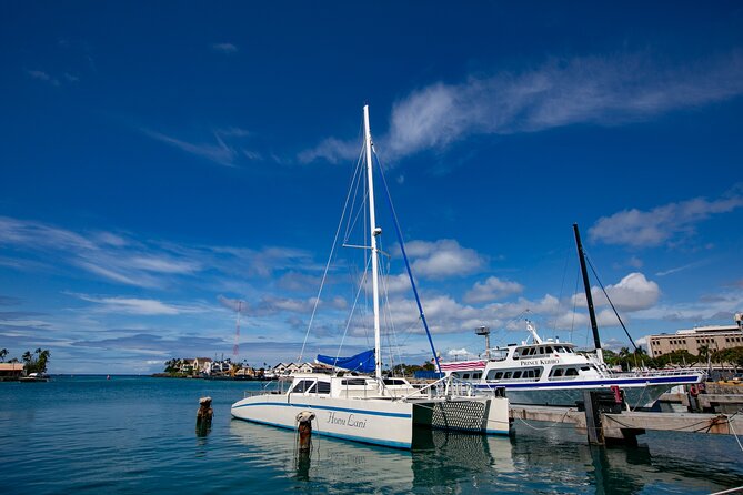 Waikiki Catamaran Snorkel Sail with Lunch: Turtles Guaranteed - Crowds, visibility, and time in the water