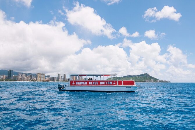 Waikiki Glass Bottom Boat Cruise - The glass viewing ports: set your expectations correctly