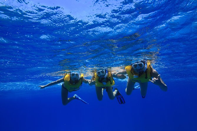 Waikiki, Hawaii: Turtle Canyon Snorkel Excursion - Snacks, boat time, and the practical details