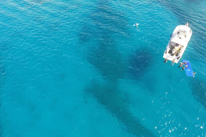 Waikiki, Hawaii: Turtle Canyon Snorkel Excursion - Is $79.21 a good value?