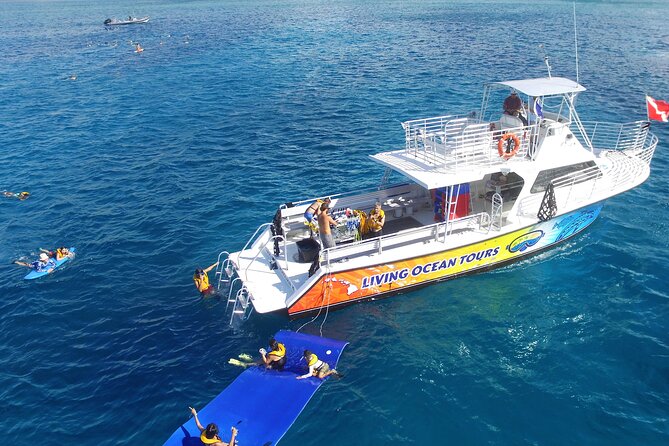 Waikiki, Hawaii: Turtle Canyon Snorkel Excursion - The Turtle Canyon swim