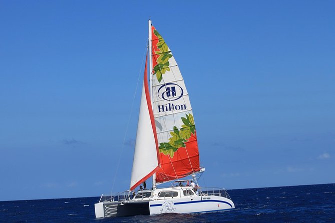 Waikoloa Signature Catamaran Sunset Sail - Whales, turtles, and what you might see
