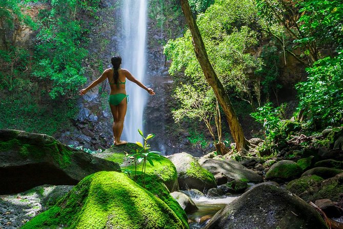 Wailua River Kayak and Sacred Falls Guided Hike with Lunch - Starting at Kayak Kauai in Kapaa