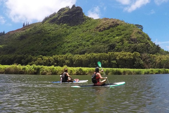 Wailua River & Waterfalls Kayak Tour: Expert-Guided Adventure - Guides add meaning to the scenery