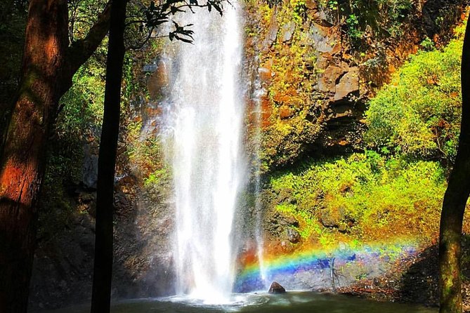 Wailua River & Waterfalls Kayak Tour: Expert-Guided Adventure - How hard is the full five to six hours?