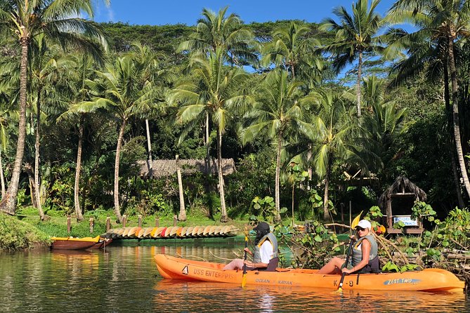 Wailua River & Waterfalls Kayak Tour: Expert-Guided Adventure - Why an early start is worth considering