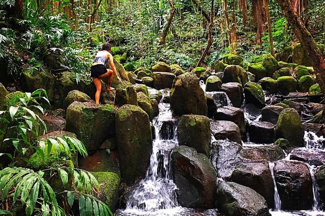 Wailua River & Waterfalls Kayak Tour: Expert-Guided Adventure - What the $145.86 price covers