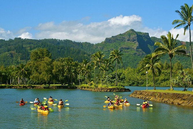 Wailua River & Waterfalls Kayak Tour: Expert-Guided Adventure - The gear mistakes that can spoil the day