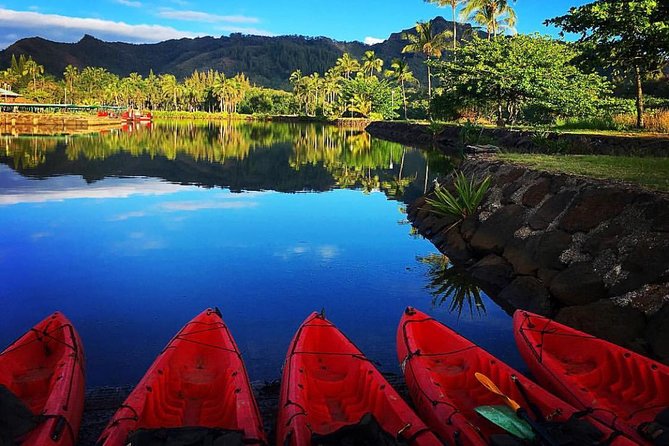 Wailua River & Waterfalls Kayak Tour: Expert-Guided Adventure - Secret Falls: the reward at the end of the trail