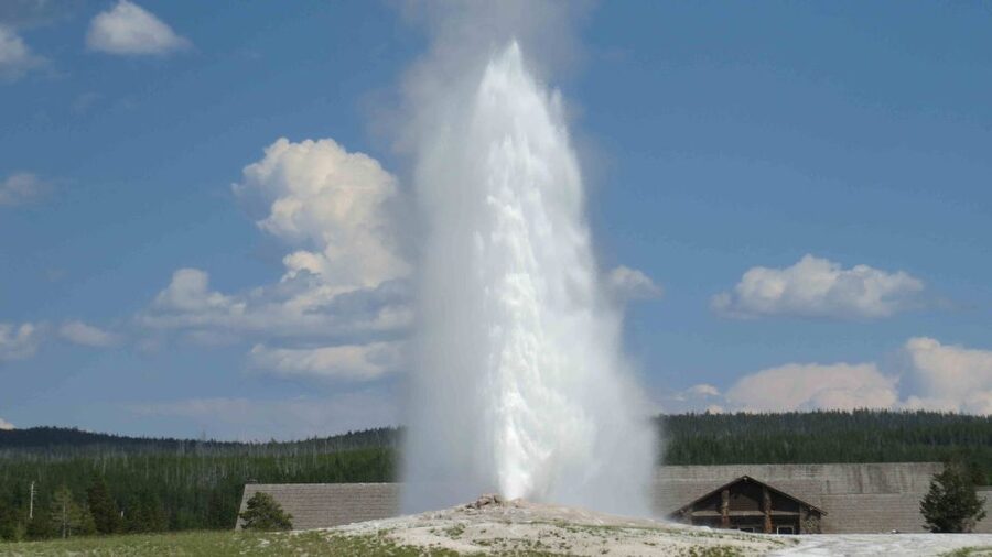 West Yellowstone: Yellowstone Day Tour Including Entry Fee - Is $375 a fair price?