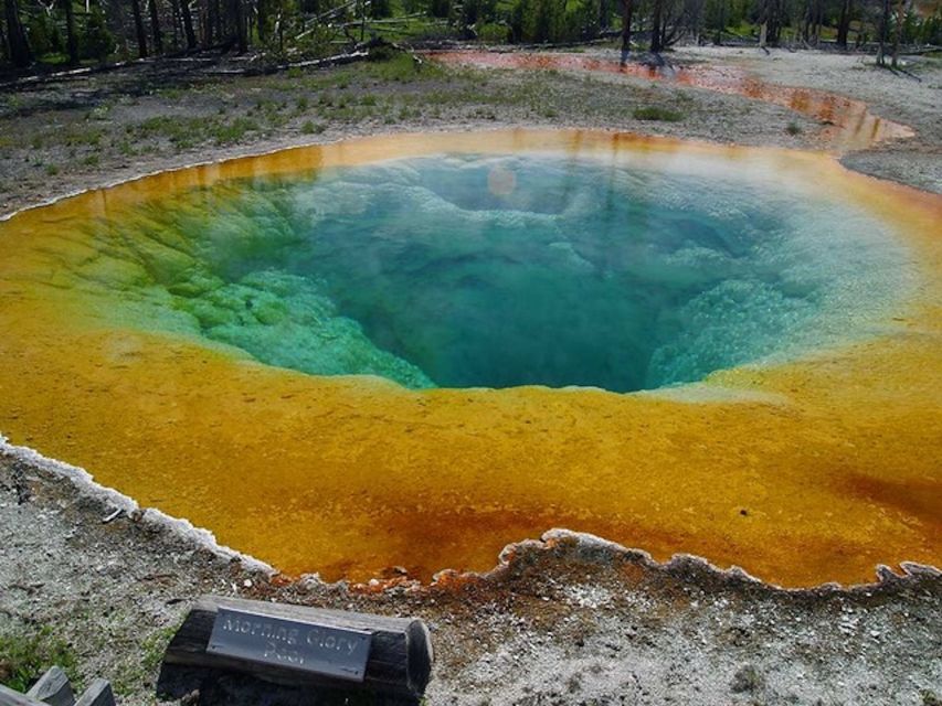 West Yellowstone: Yellowstone Day Tour Including Entry Fee - Why this Lower Loop day works