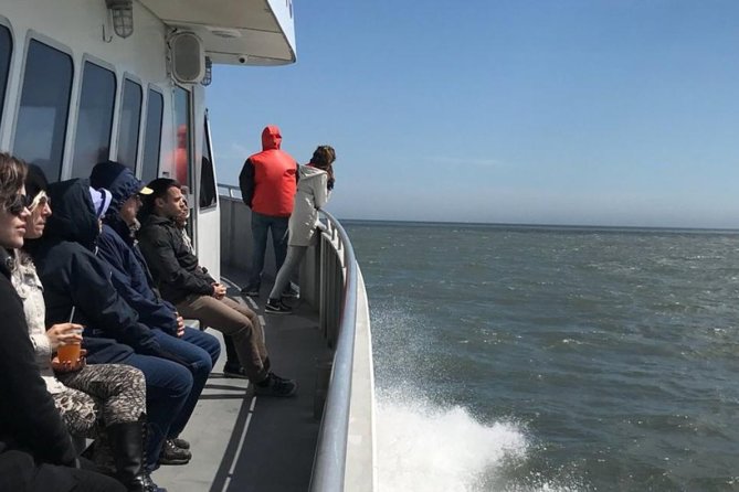 Whale and Dolphin Watching Cruise from Cape May - A practical plan for your day
